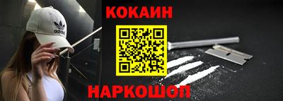 гашик Шелехов