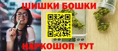 гашик Шелехов