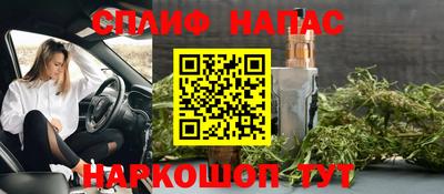 гашик Шелехов
