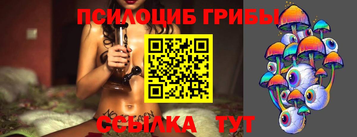 Псилоцибиновые грибы мухоморы  Вход с VPN  Альметьевск 